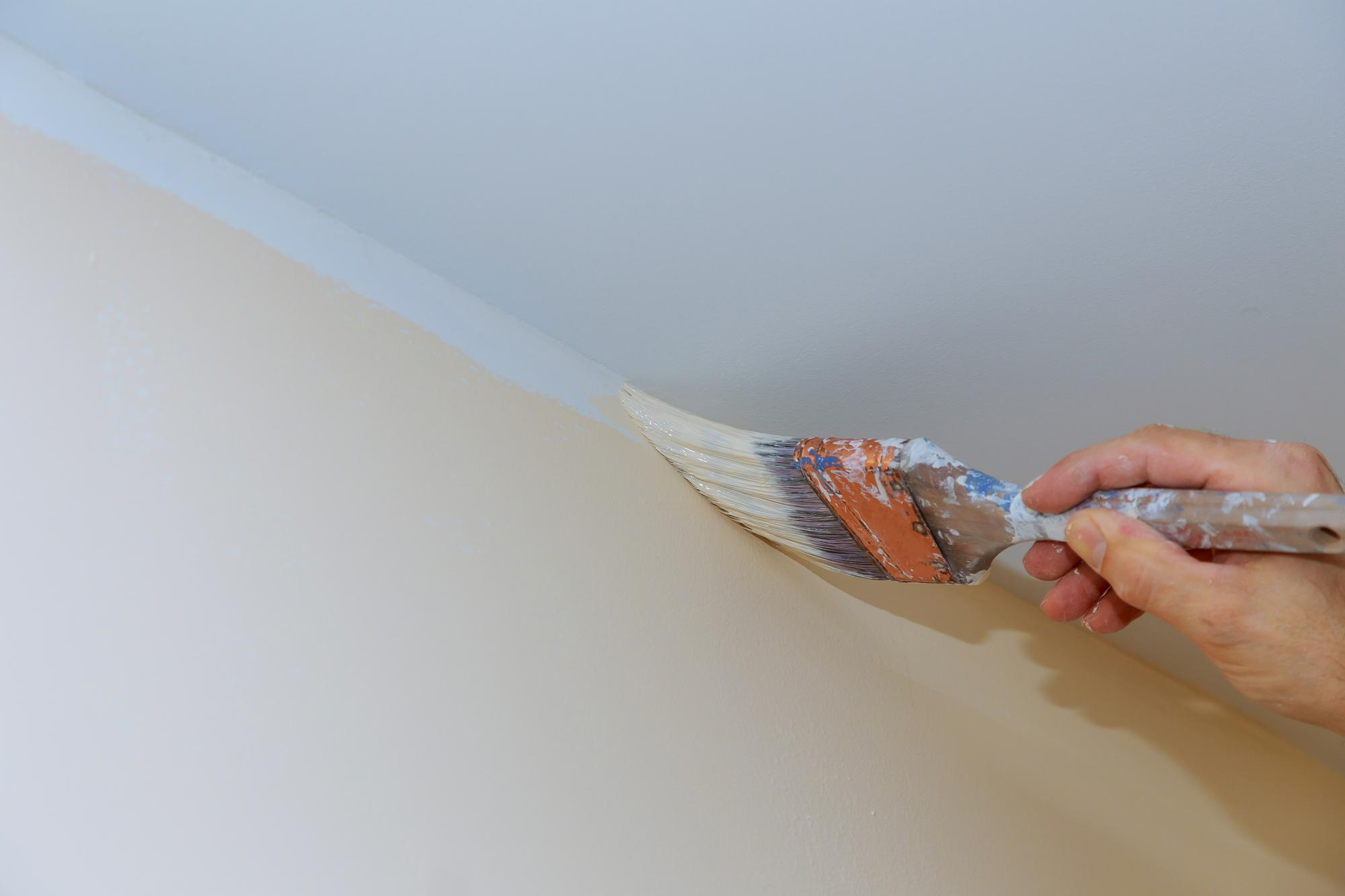 peinture mur intérieur en creuse 23