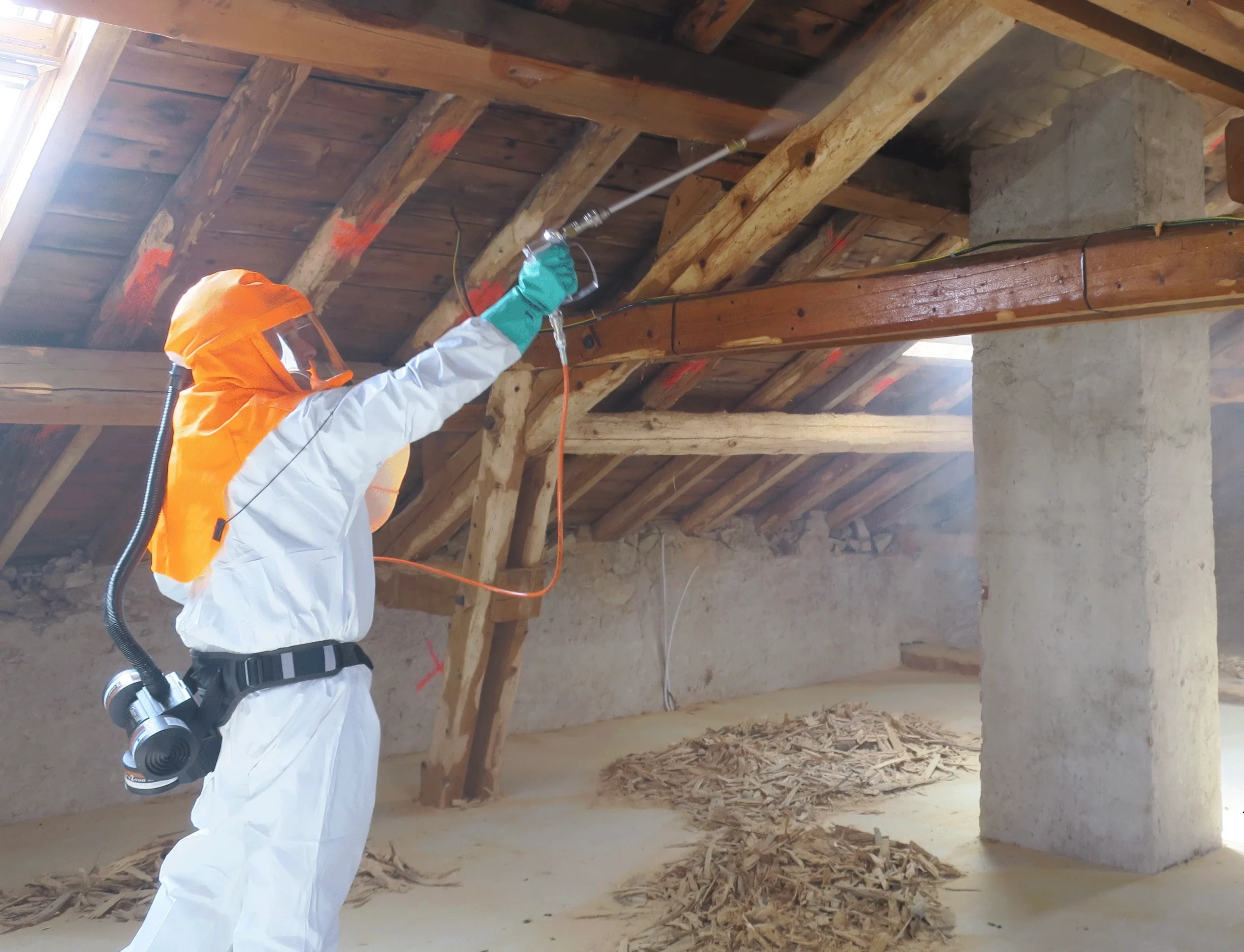 Traitement de charpente contre insectes xylophages à Saint-Fiel